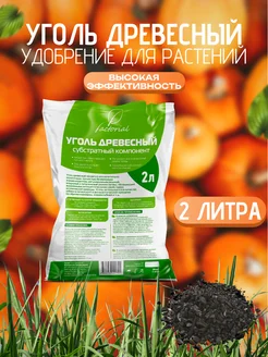 Уголь древесный 259595198 купить за 158 ₽ в интернет-магазине Wildberries