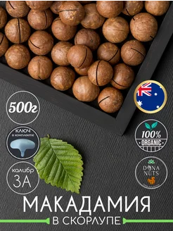 Макадамия в скорлупе DONA NUTS 259639345 купить за 684 ₽ в интернет-магазине Wildberries