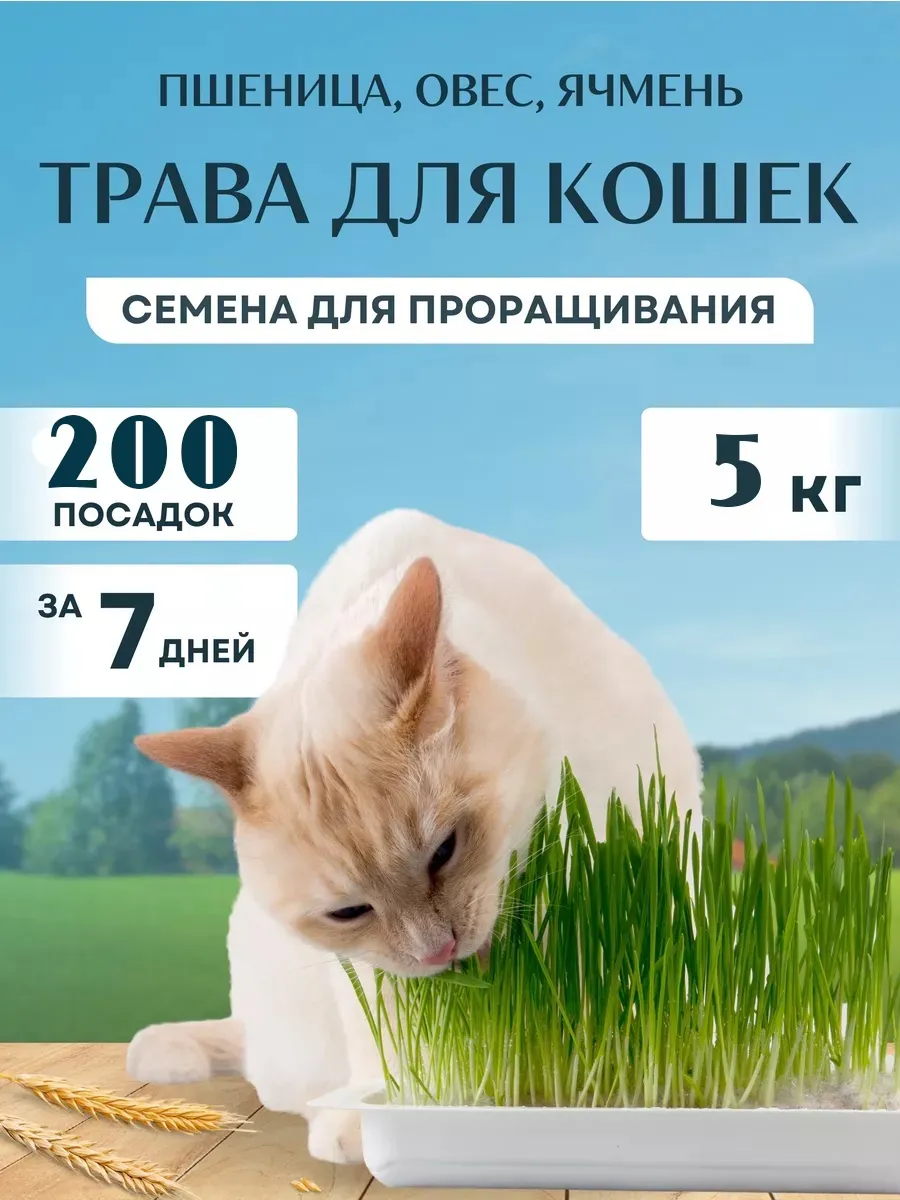 Трава для кошек для...