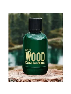 Dsquared2 Green Wood Eau De Toilette Pour Homme 100 ml