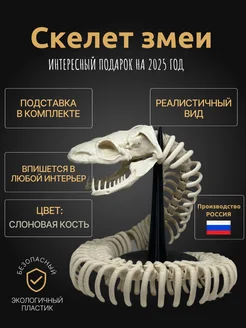 Скелет змеи на подставке / Год змеи 2025 ЛуЛ 259706687 купить за 622 ₽ в интернет-магазине Wildberries