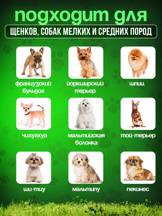 Tooth for tooth Набор игрушек для собак, зеленый, фото 5