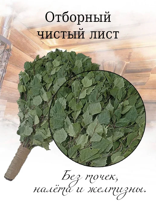 Дубовый Веник Веники для бани берёзовые отборные 2 штуки 2026, 2 шт, фото 7