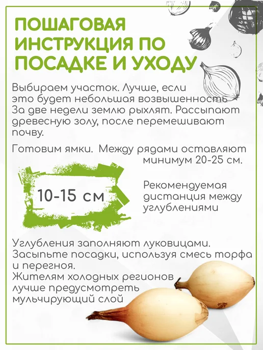 Лук-севок на посадку озимый Шекспир 0,3 кг, 300 г, фото 3