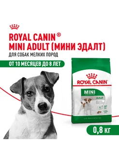 Mini Adult Корм для собак мелких размеров, 0,8 кг х 3 шт ROYAL CANIN 259832483 купить за 1 807 ₽ в интернет-магазине Wildberries