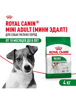 Mini Adult Корм сухой для собак мелких пород от 10 мес,4 кг ROYAL CANIN 259832641 купить за 2 536 ₽ в интернет-магазине Wildberries