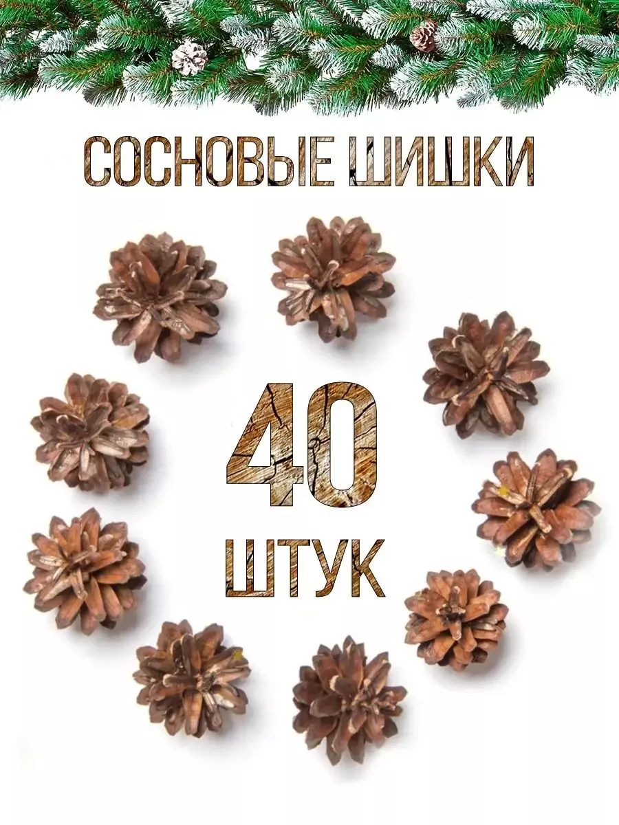 Хвойные...