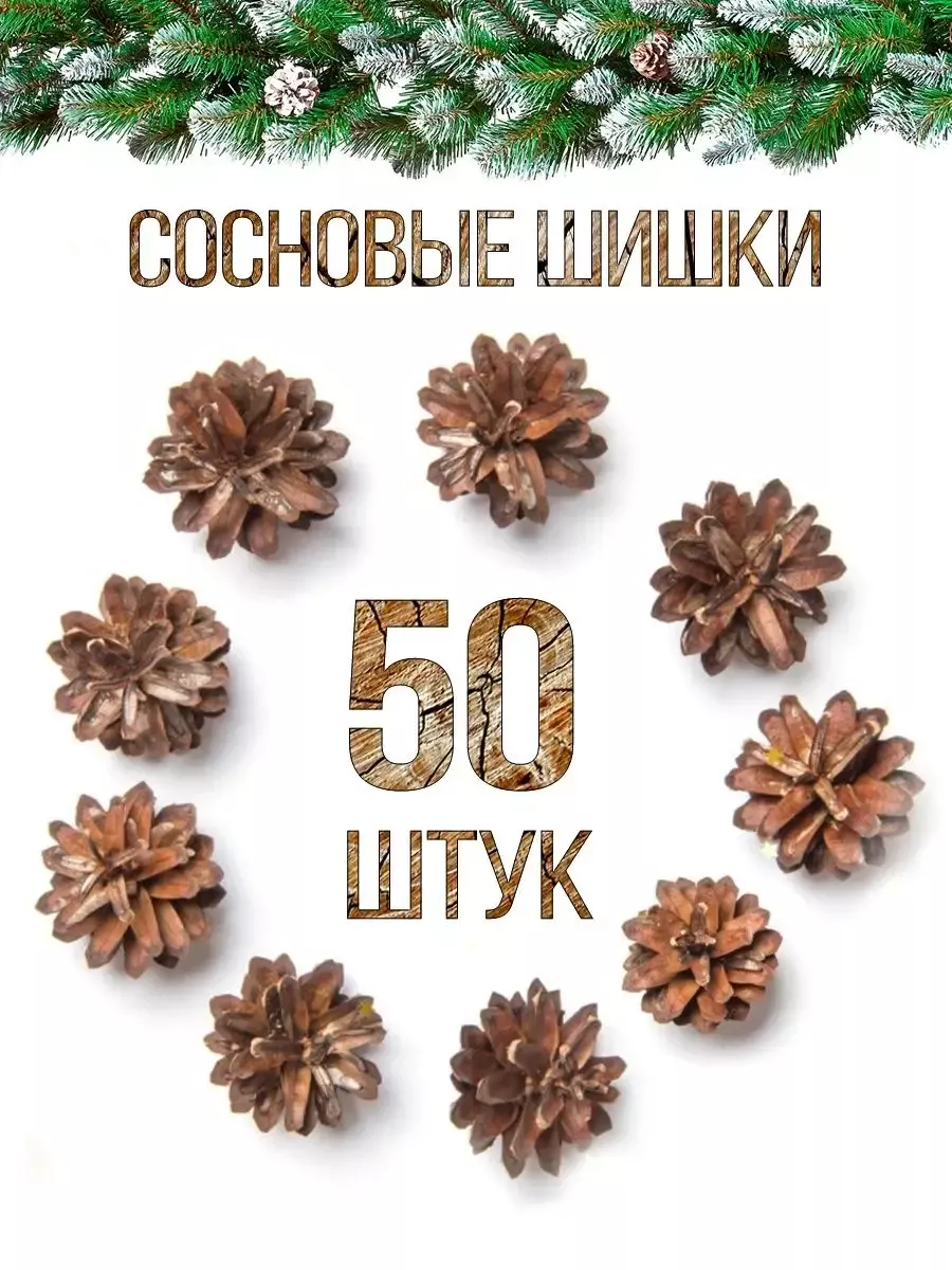 Хвойные...