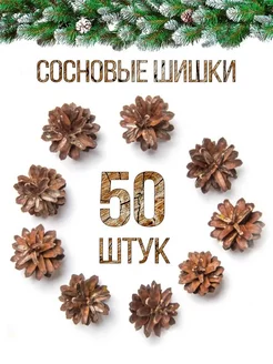 Хвойные сосновые шишки для поделок 50