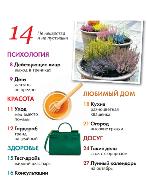 Домашний журнал журнал. Здоровье, кухня, психология, любовь. финансы №18 24, вариант, фото 2