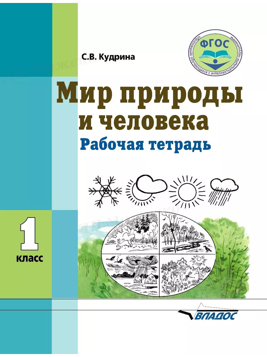 Мир природы и человека. Рабочая тетрадь. 1 класс