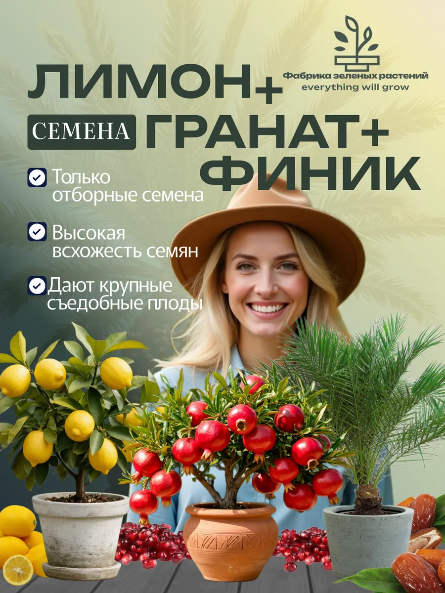 Домашний лимон + Гранат + Финиковая пальма.