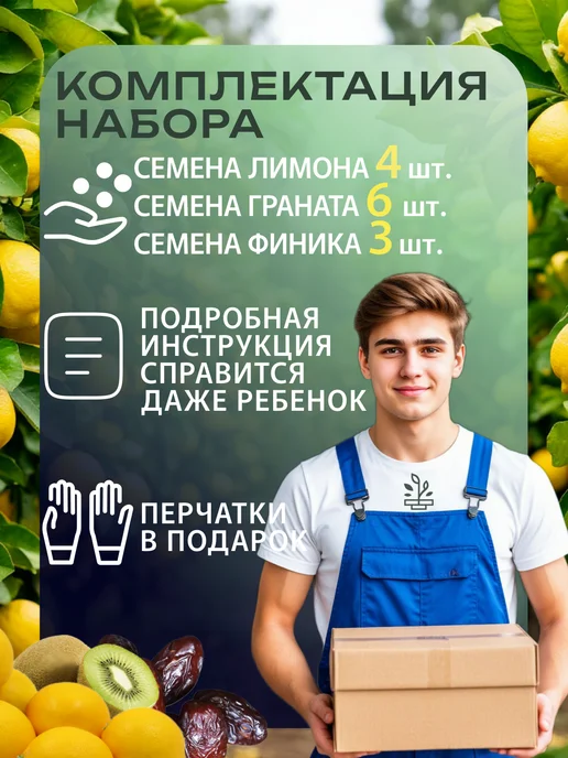 Фабрика зеленых растений Домашний лимон + Гранат + Финиковая пальма, зеленый, фото 2