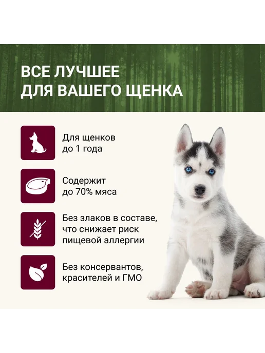 Сухой корм Dog&Dog для собак, щенки, лосось, 2 кг, фото 2