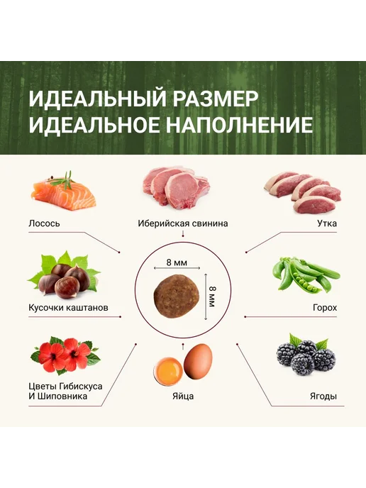 Сухой корм Dog&Dog для собак, щенки, лосось, 2 кг, фото 3