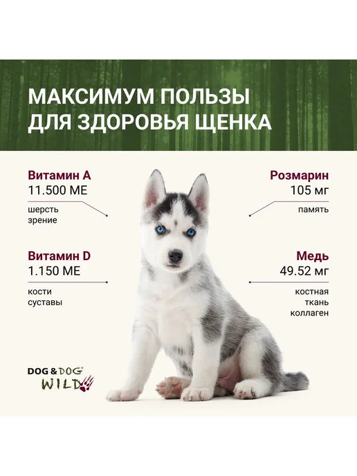 Сухой корм Dog&Dog для собак, щенки, лосось, 2 кг, фото 5