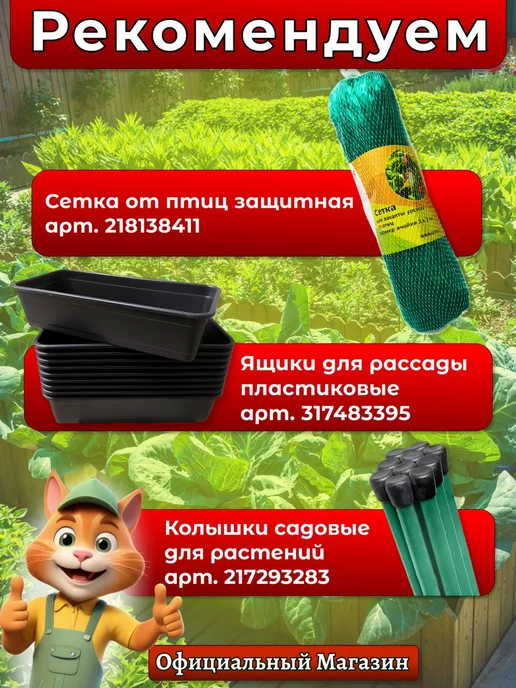 ОФИЦИАЛЬНЫЙ МАГАЗИН Бактерии для септиков, выгребных ям и туалетов 3 штуки, 3 шт, фото 2