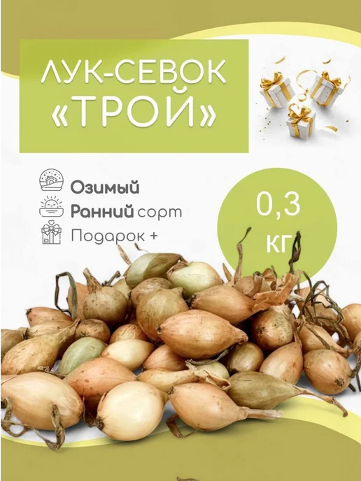 Лук севок озимый для посадки в зиму "Кармен" 0.3 кг, 300 г