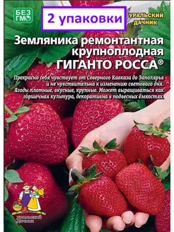 Земляника ремонтантная крупная Гиганто Росса Унисем 260127639 купить за 221 ₽ в интернет-магазине Wildberries