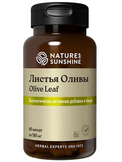 Листья оливы нсп Olive leaf NSP бад 585 мг