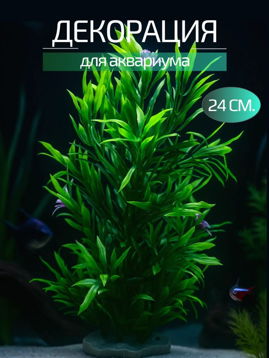 Декорация для аквариума 24 см.
