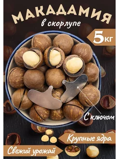 Макадамия в скорлупе с ключом, 5кг