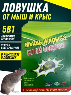 Мышеловка клеевая ловушка для мышей