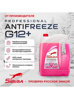 Антифриз Сибирия G12+ 10кг красный Sibiria 260338197 купить за 1 496 ₽ в интернет-магазине Wildberries