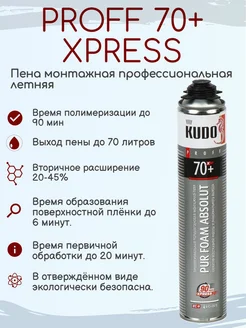 PROFF 70+ XPRESS пена монтажная профессиональная летняя