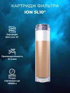 Картридж фильтра ION SL (SL 10)