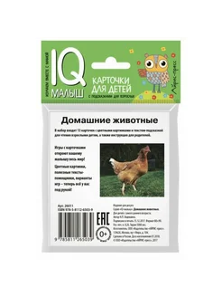 Домашние животные. 13 карточек