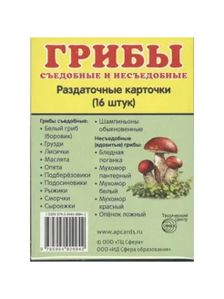 Грибы съедобные и несъедобные. 16 раздаточных карточек