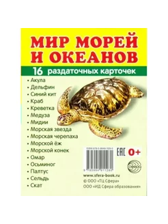 Мир морей и океанов. 16 раздаточных карточек 63 х 87