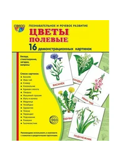 Цветы полевые. 16 демонстрационных картинок с текстом