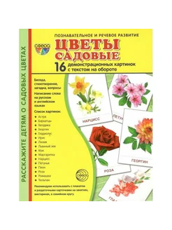 Цветы садовые. 16 демонстрационных картинок с текстом