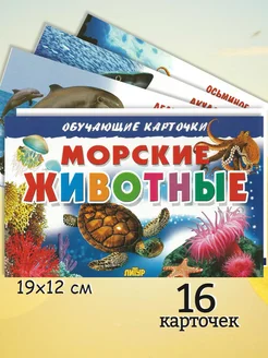 Морские животные (Обучающие карточки)