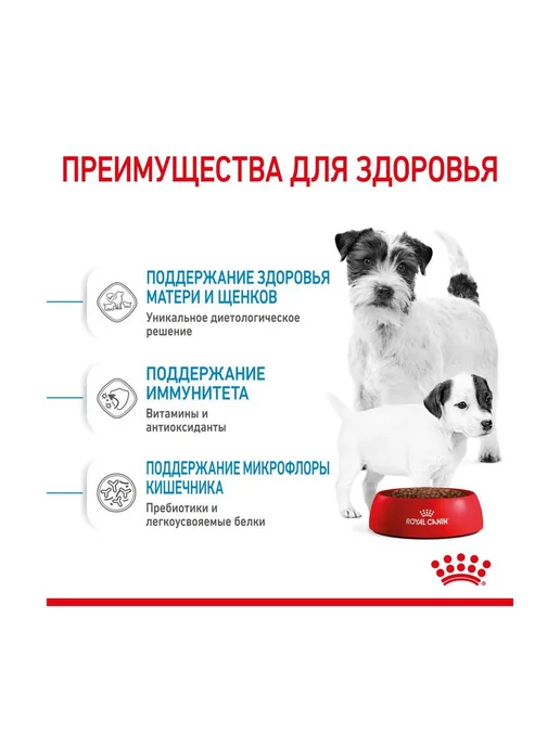 Сухой корм Royal canin Starter Малых для собак, мелкие, щенки, 3 кг, фото 3