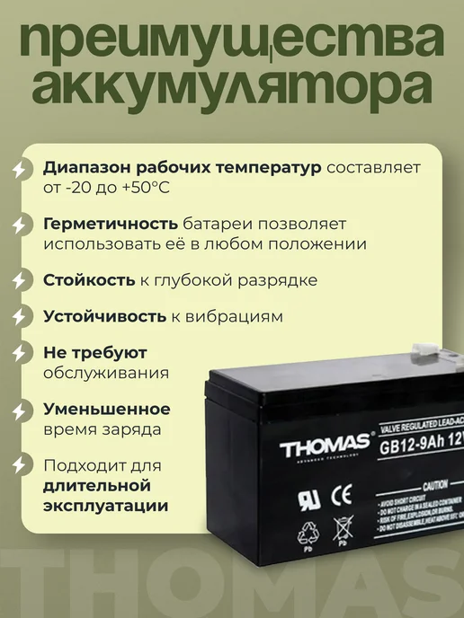 Thomas Аккумулятор для ибп 12v 9Ah F2 T2 эхолотов, детских машин, вариант, фото 4