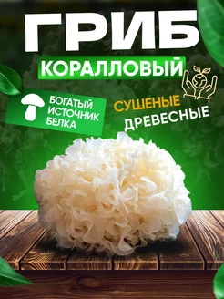 Коралловый белый гриб 1 шт