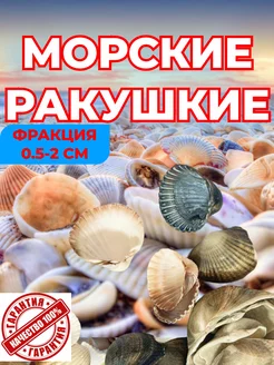 Ракушки для аквариума