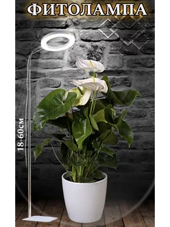 Фитолампа кольцевая для растений HelpFlowers 260873099 купить за 1 209 ₽ в интернет-магазине Wildberries