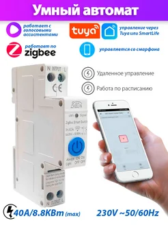 Умный автоматический выключатель ZigBee Tuya 1P 40A (blue) eWeLink 260876857 купить за 1 908 ₽ в интернет-магазине Wildberries