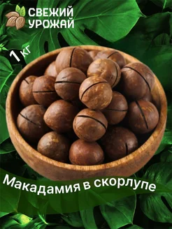 Макадамия орехи 1 кг с ключом в скорлупе