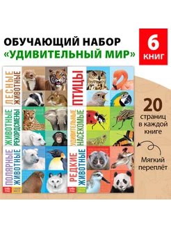 Обучающие книги "Удивительный мир" для детей