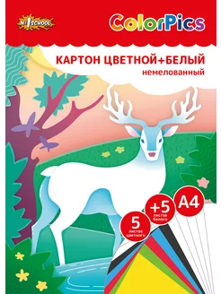 Набор цветного и белого картона,10 листов, 5 цветов, 2 шт