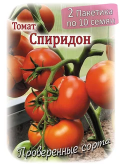 Томат - Спиридон - 2 пакета Проверенные семена 261107122 купить за 143 ₽ в интернет-магазине Wildberries