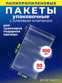 Упаковочные пакеты с клеевым клапаном 30х40 + 5см 100 шт Всё в пакет! 261170414 купить за 322 ₽ в интернет-магазине Wildberries