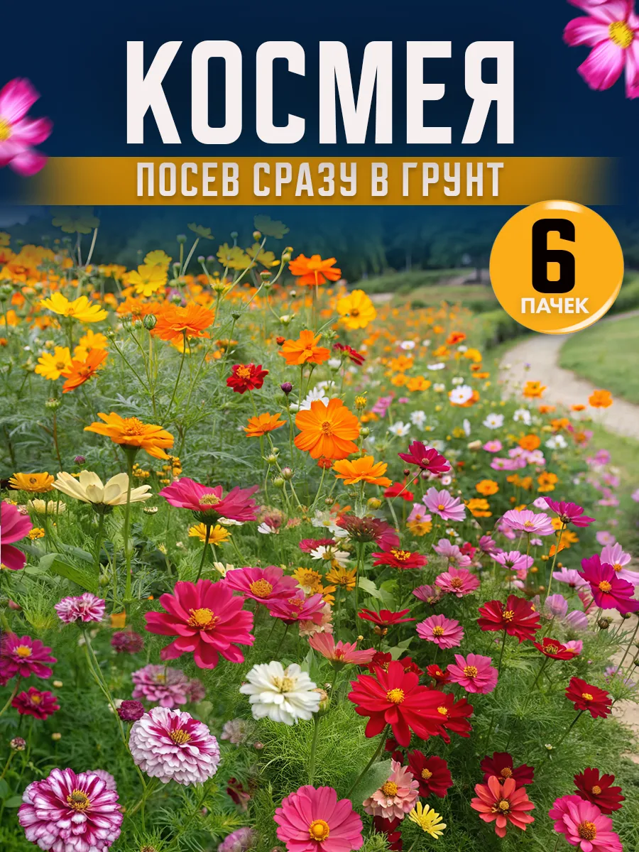 Семена цветов космея