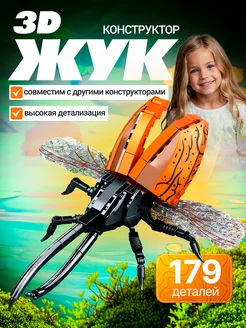 3D конструктор Жук