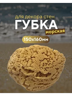 Губка натуральная морская